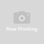 幹線沿い 解体更地渡し致します。