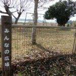 日当たり良好、南側公園です。 画像12 日当たり良好、南側公園です。 画像12